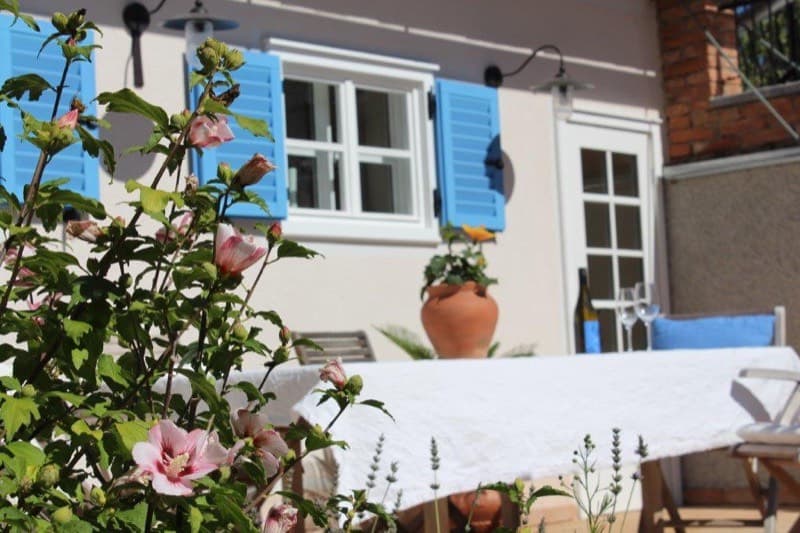 Weinberge Südoststeiermark